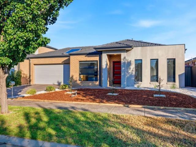 For Rent 4 Bedroom House Point Cook, DS102578082