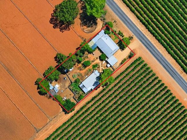 For Rent 4 Bedroom House Renmark SA DS105932375