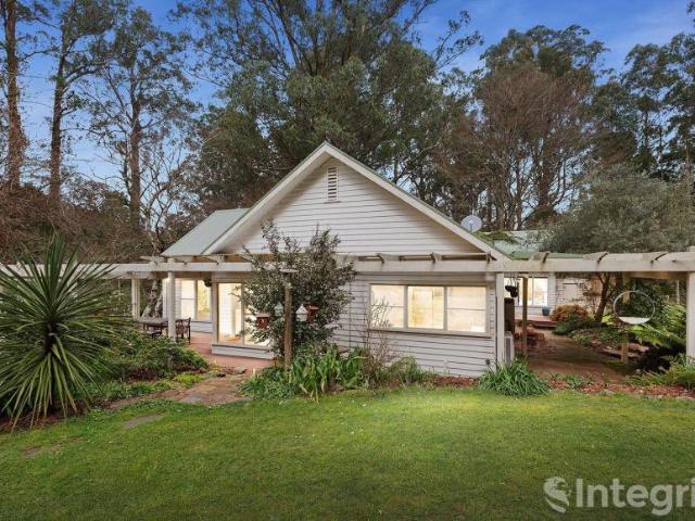 For Rent 4 Bedroom House Toolangi VIC DS105763578