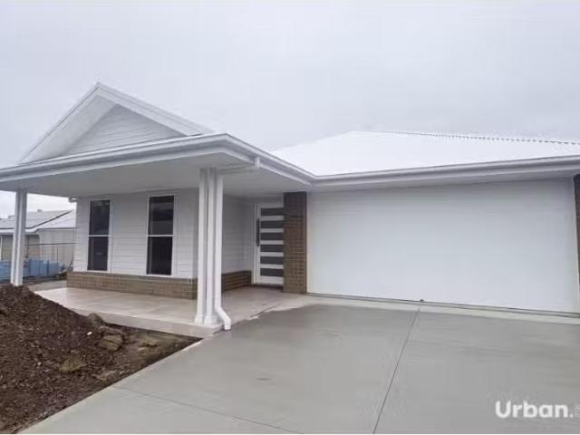 Nice 4 BR 38 Artisan Road, North Rothbury House for rent List.