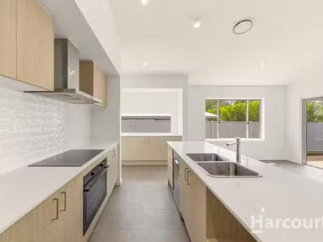 Deal! 4 BR 51 Indigo Way, KAWUNGAN, QLD 4655 House for Rent