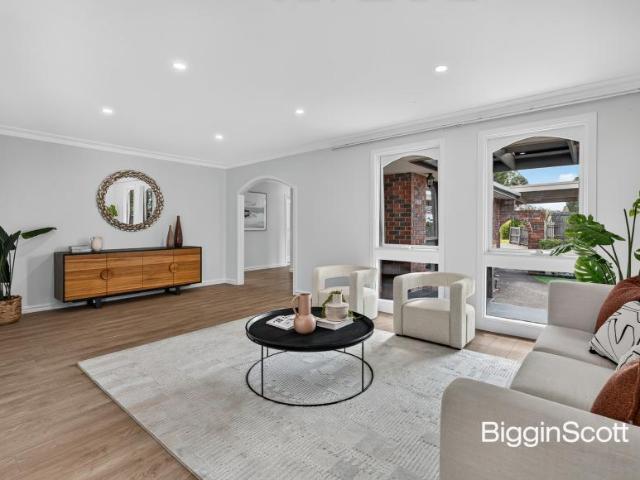 For Rent 5 Bedroom House Glen Waverley VIC DS105865383