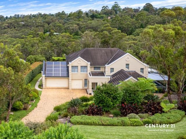 For Rent 5 Bedroom House Faulconbridge, NSW DS102774768