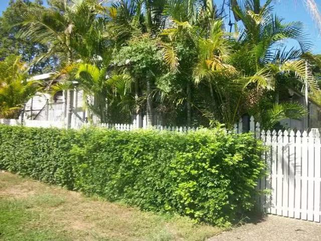 Deal! 64 Thorn Street, Ipswich, QLD 4305