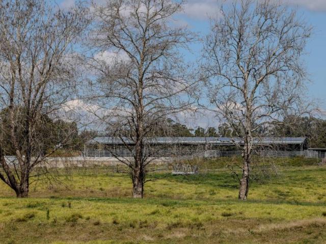 For Rent 6 Bedroom House Sherwood NSW DS105626384
