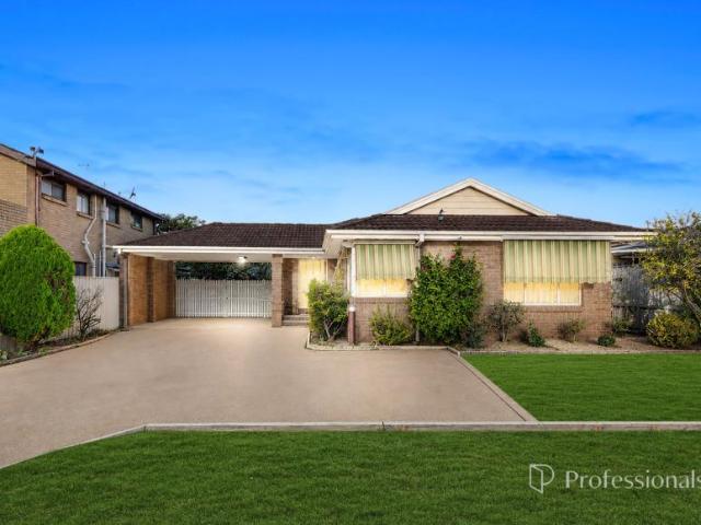For Rent 8 Bedroom House Mornington VIC DS105972598