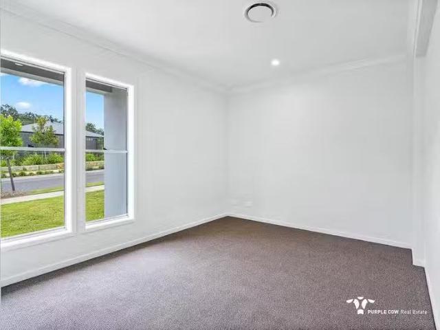 Cheap 155 Belvedere Drive, Spring Mountain, QLD 4300