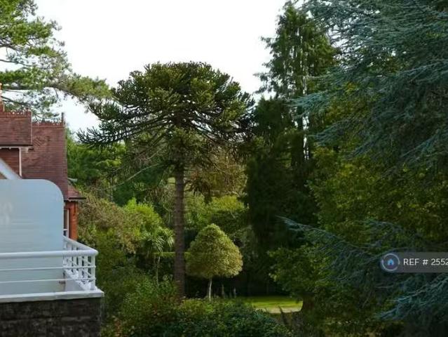 Unique 1 BA 2 bedroom flat for rent in West Cliff Court, Bourn.