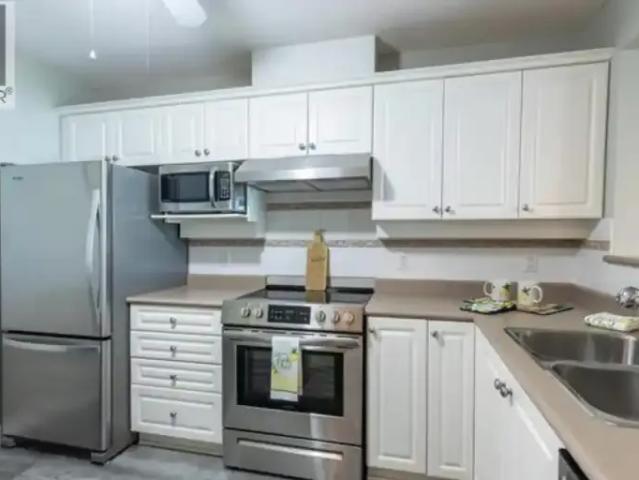 For Rent 1 Bedroom Apartment Maple Ridge BC DS105410975