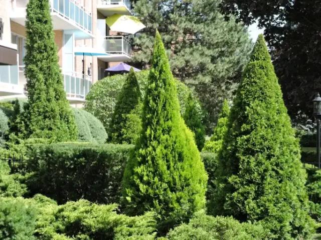 For Rent 1 Bedroom Apartment Mississauga ON DLS105234331
