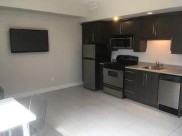 For Rent 1 Bedroom Apartment Moncton NB DS96817415