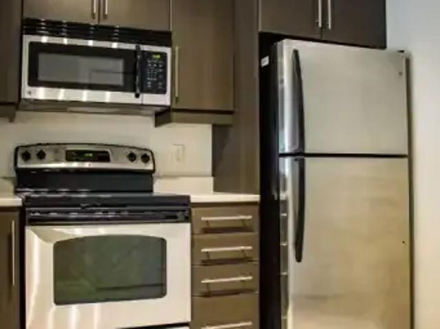 For Rent 1 Bedroom Apartment Moncton NB DS104863213