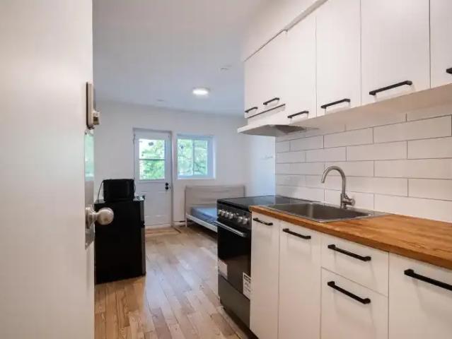 For Rent 1 Bedroom Apartment Montreal QC DLS103958677