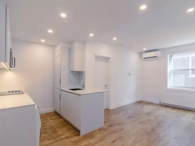 For Rent 1 Bedroom Apartment Montreal QC DS104362083