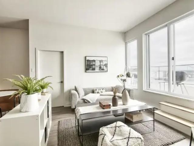 For Rent 1 Bedroom Apartment Montreal QC DS104710910