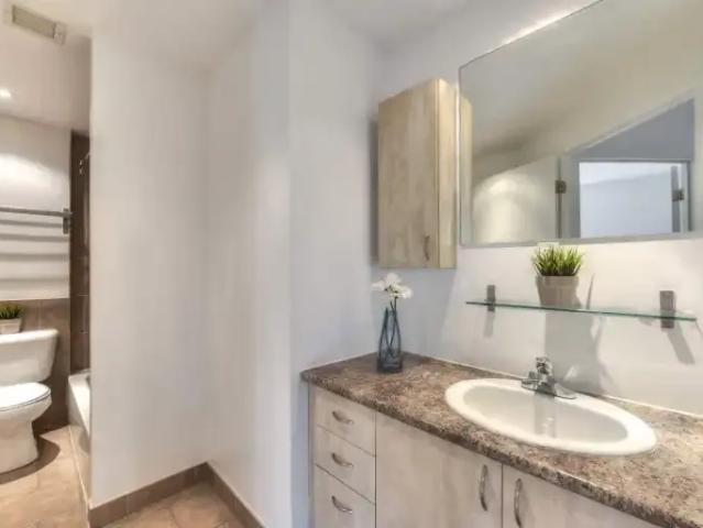 For Rent 1 Bedroom Apartment Montreal QC DS104840840