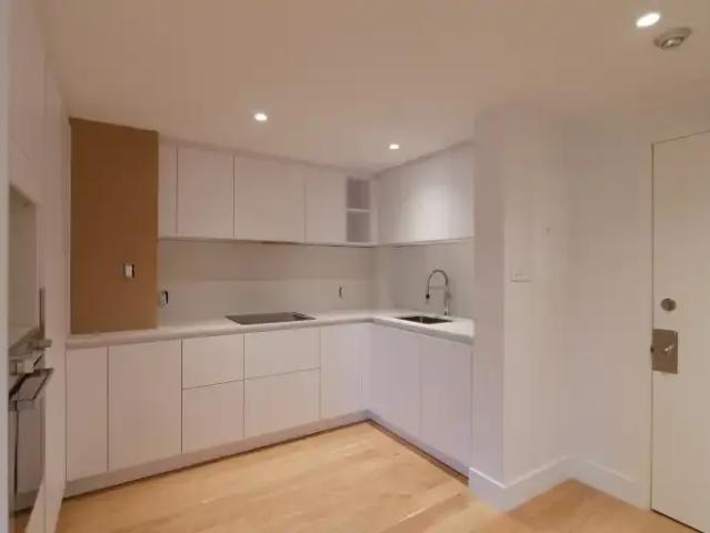 For Rent 1 Bedroom Apartment Montreal QC DS104887670