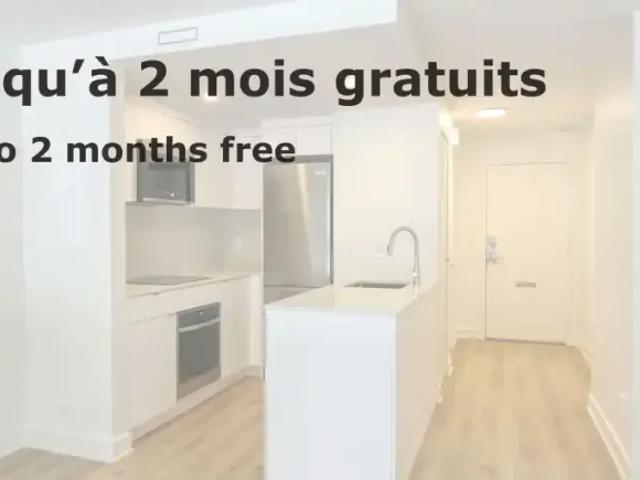 For Rent 1 Bedroom Apartment Montreal QC DS104887690
