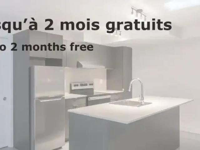 For Rent 1 Bedroom Apartment Montreal QC DS105071215