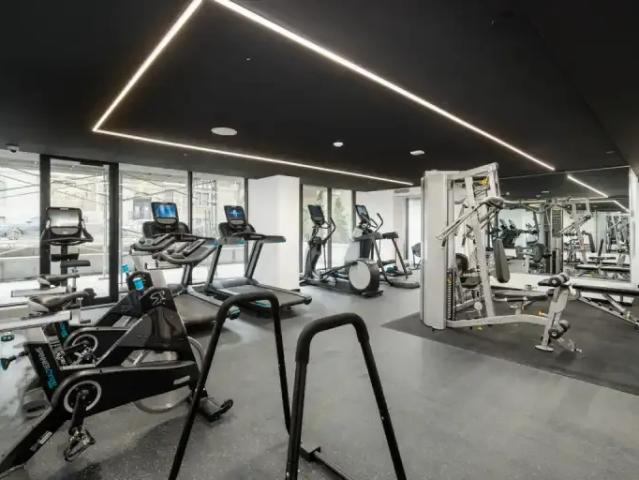 For Rent 1 Bedroom Apartment Montreal QC DS105268115