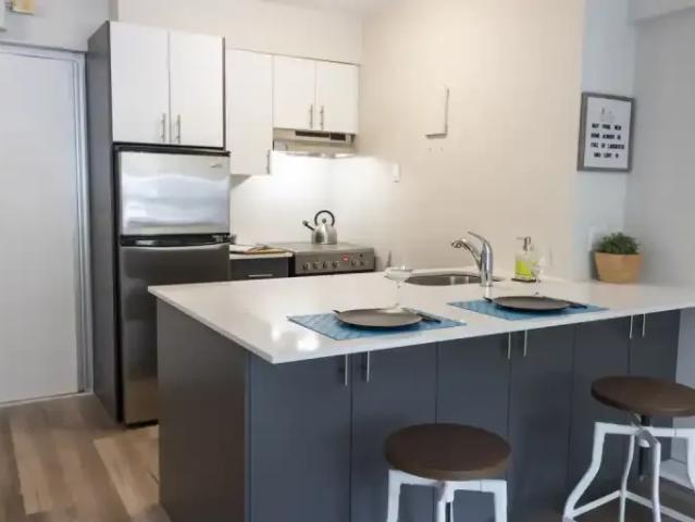 For Rent 1 Bedroom Apartment Montreal QC DS101474692