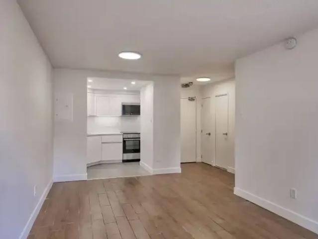 For Rent 1 Bedroom Apartment Montreal QC DS102271145