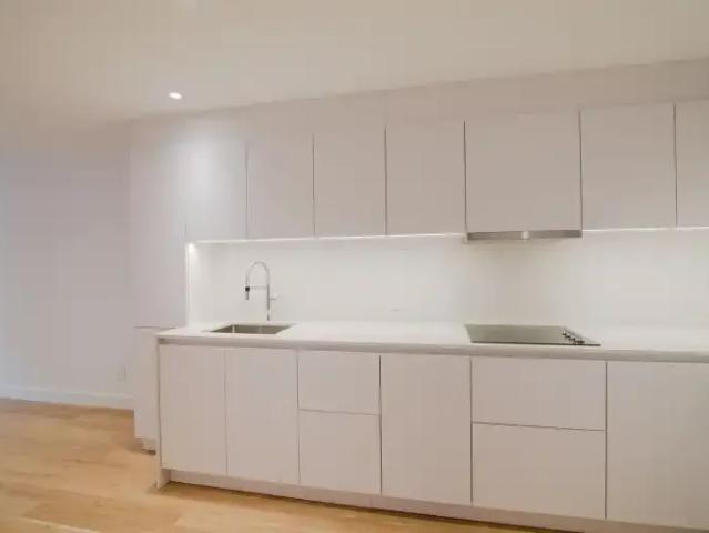 For Rent 1 Bedroom Apartment Montreal QC DS102770500