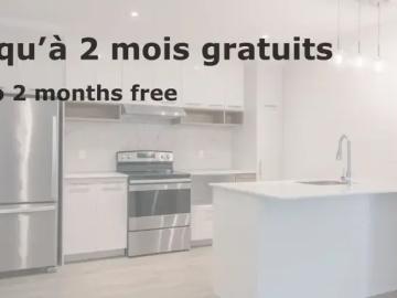 For Rent 1 Bedroom Apartment Montreal QC DS103424246