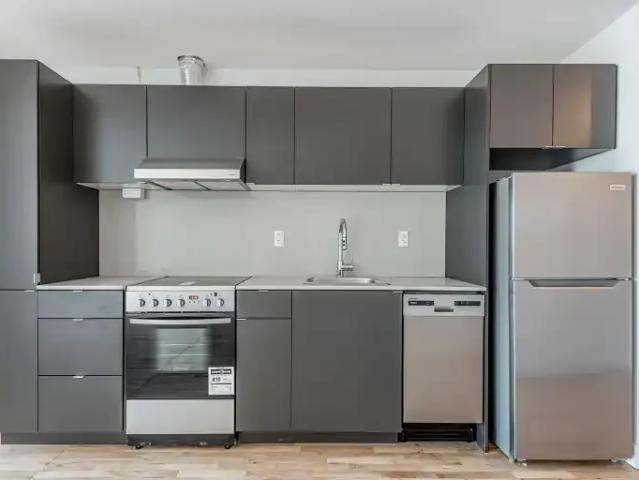 For Rent 1 Bedroom Apartment Montreal QC DS103423894