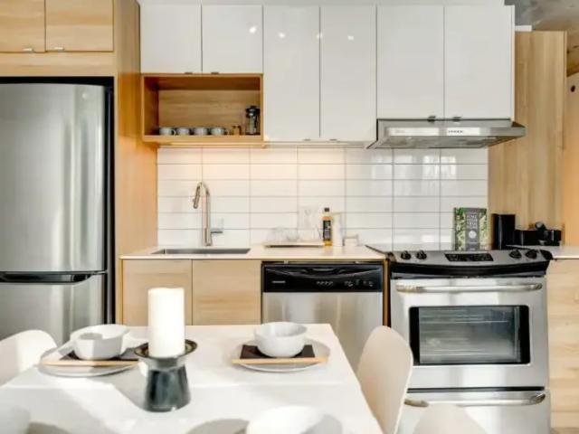 For Rent 1 Bedroom Apartment Montreal QC DS103574407