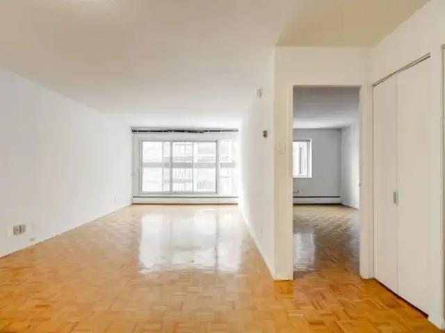 For Rent 1 Bedroom Apartment Montreal QC DS96494255