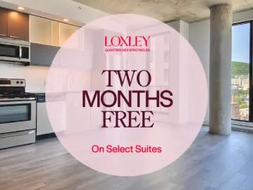For Rent 1 Bedroom Apartment Montreal QC DS96818340