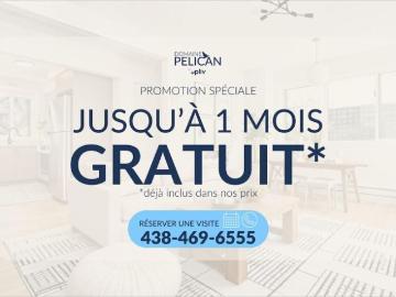 For Rent 1 Bedroom Apartment Montréal QC DS98315065