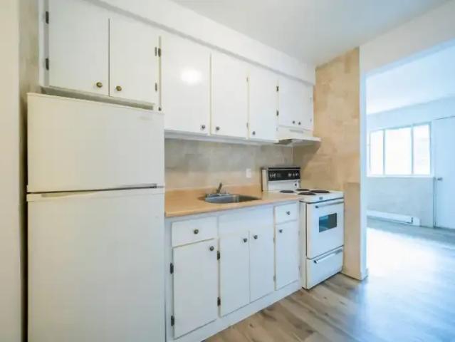 For Rent 1 Bedroom Apartment Montreal QC DS98340773