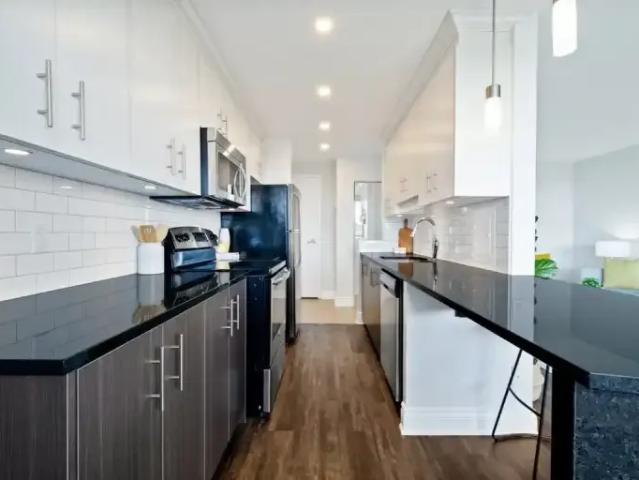 For Rent 1 Bedroom Apartment Ottawa ON DS102306278