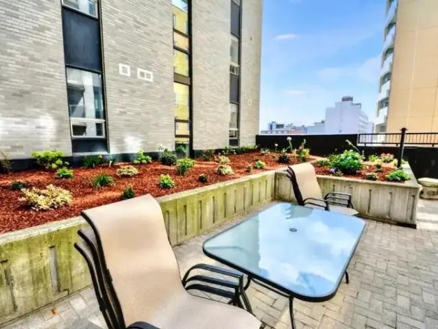 For Rent 1 Bedroom Apartment Ottawa ON DS102467482