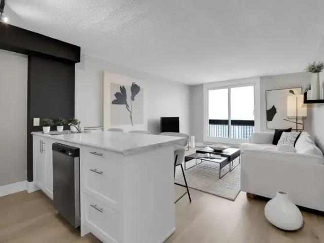 For Rent 1 Bedroom Apartment Ottawa ON DS96589383