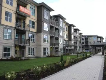 For Rent 1 Bedroom Apartment Abbotsford BC DS103568665
