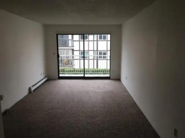 For Rent 1 Bedroom Apartment Abbotsford BC DS104824134