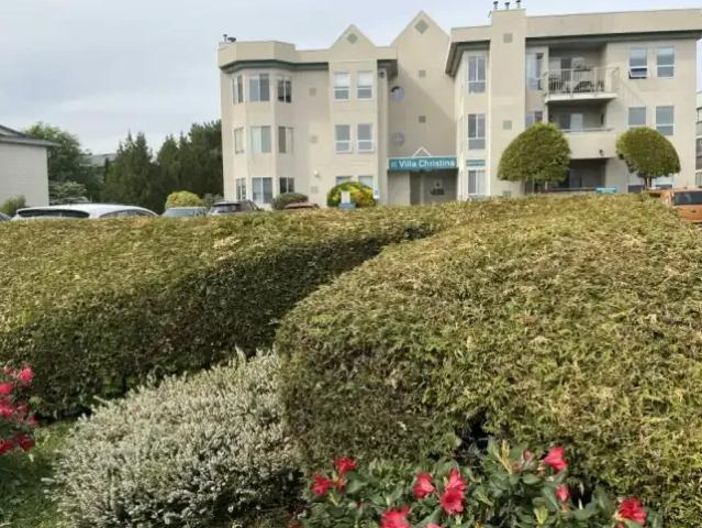 For Rent 1 Bedroom Apartment Abbotsford BC DS105466420