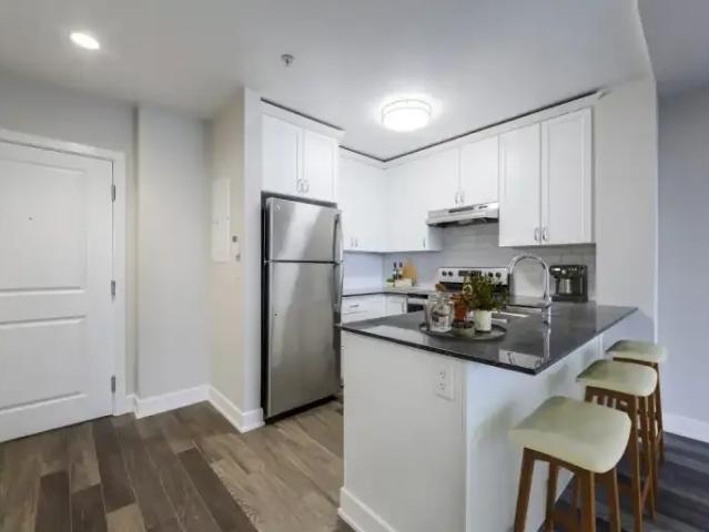 For Rent 1 Bedroom Apartment Burlington ON DLS100807765