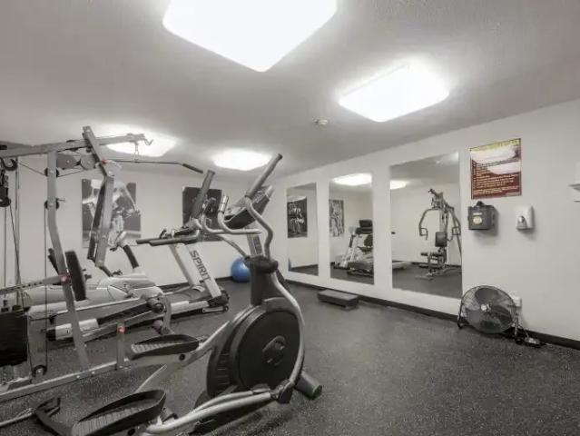 For Rent 1 Bedroom Apartment Burlington ON DS101473571