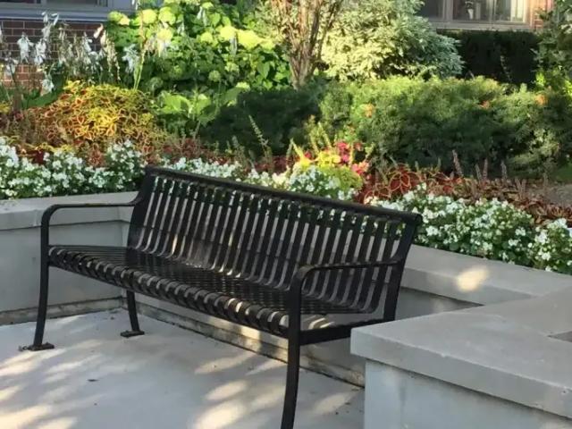 For Rent 1 Bedroom Apartment Burlington ON DS105134967