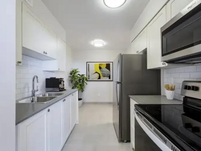 For Rent 1 Bedroom Apartment Burlington ON DS105280769