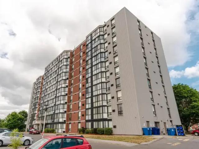 For Rent 1 Bedroom Apartment Belleville ON DS105134655