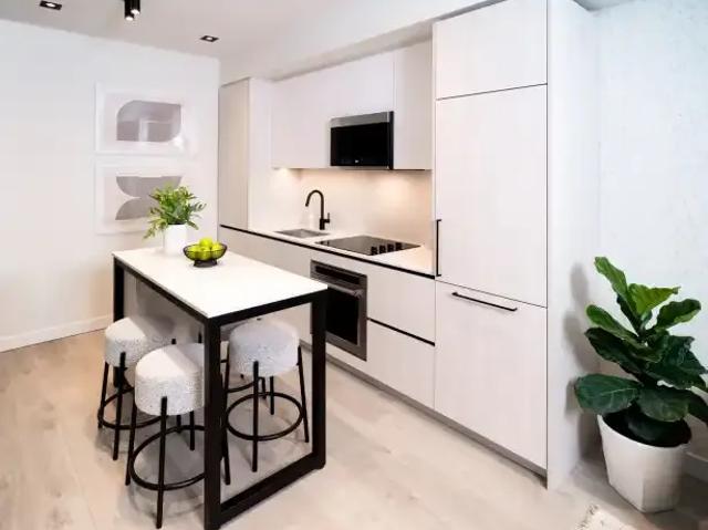 For Rent 1 Bedroom Apartment Brampton ON DS103424582