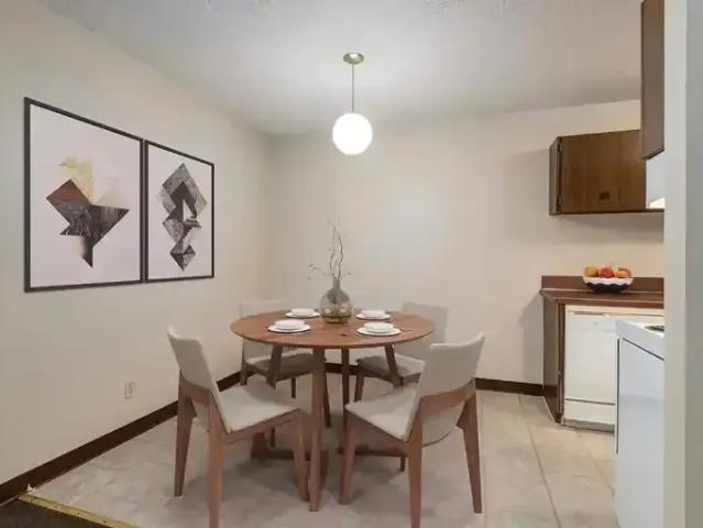 For Rent 1 Bedroom Apartment Brooks AB DLS100757172
