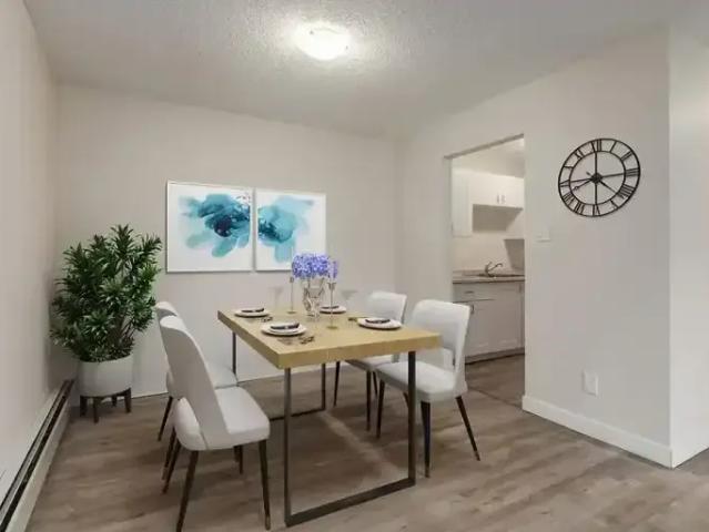 For Rent 1 Bedroom Apartment Brooks AB DS105086804