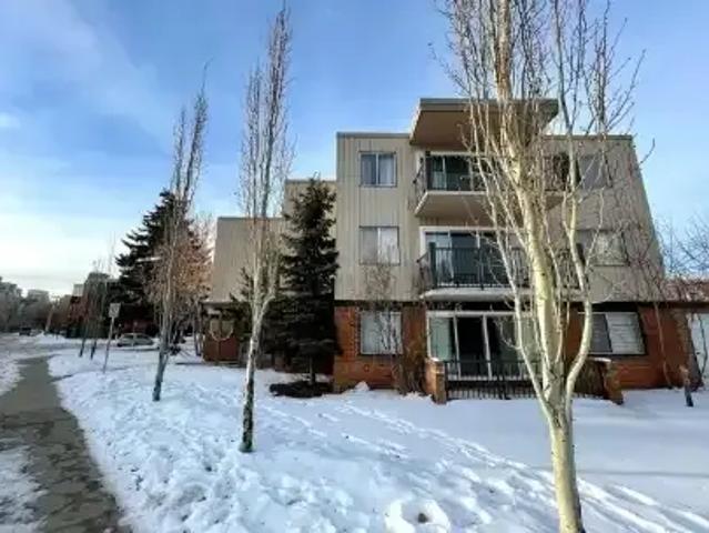 For Rent 1 Bedroom Apartment Calgary AB DLS105071673