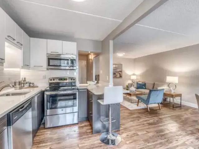 For Rent 1 Bedroom Apartment Calgary AB DS103611758